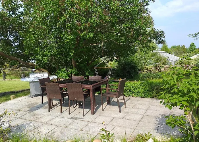 Self Check-in راديبول